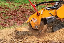 Best Hazardous Tree Removal  in Vauxhall, NJ